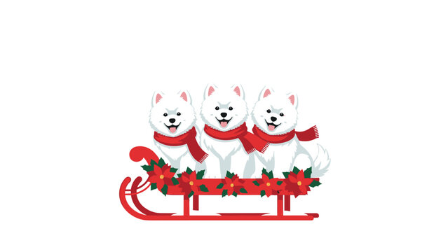 Three adorable samoyed dogs wearing red scarves joyfully ride a festive red sled decorated with poinsettias, creating a heartwarming winter scene.