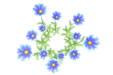 Fiore di campo blu celeste giallo multicolore isolato su fondo trasparente