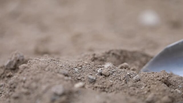 Close-up view of a hand in a protective blue glove using a metal scoop to collect a sample of dry soil from the ground for analysis or gardening.

