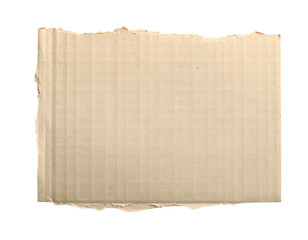 Torn corrugated cardboard sheet with ribbed texture and frayed edges
