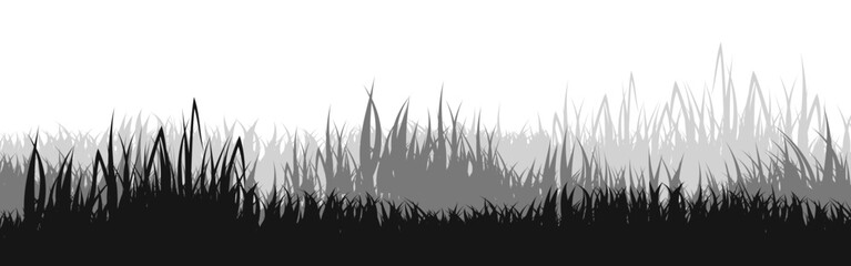 Obraz premium Meadow silhouette with grass, plants on plain. Panoramic summer lawn landscape with herbs, various weeds. Herbal border, frame element. Black horizontal banners. Vector illustration