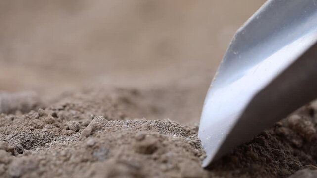 Close-up view of a hand in a protective blue glove using a metal scoop to collect a sample of dry soil from the ground for analysis or gardening.

