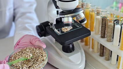 Microscope used to examine seeds with test tubes in laboratory setting © Nadzeya
