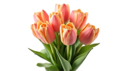 Pink Orange Tulips Flower Bouquet Fresh Nature Bright Colors
