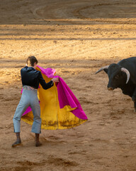Teenager vesrus bull at bullfighting scene in Salamanca city, Spain