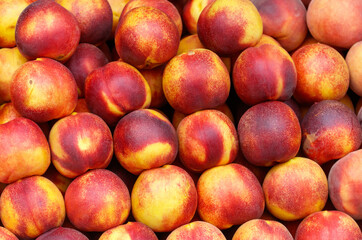 A bunch of red and yellow peaches