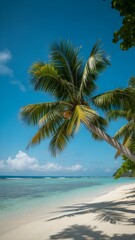 Obraz premium a stunning tropical beach with palm trees