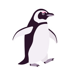 African penguin cute funny black back and white belly bird walking. Flightless seabird with flippers for swimming and diving, marine life jackass, ornithology. Vector flat style cartoon illustration