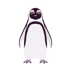 African penguin cute funny black back and white belly bird stand pose. Flightless seabird with flippers for swimming, diving, marine life jackass, ornithology. Vector flat style cartoon illustration