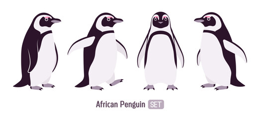 African penguin cute funny black back and white belly bird group. Flightless seabird set with flippers for swimming and diving, marine life jackass, ornithology. Vector flat style cartoon illustration