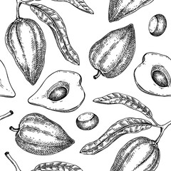 Tropical plant seamless pattern. Lucuma sketch. Exotic fruit hand drawn vector illustration. Summer background. NOT AI generated
