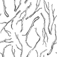 Kava Kava roots seamless pattern. Apothecary plant sketch. Herbal remedies, medicinal plants, natural medicine hand-drawn vector illustration. NOT AI generated