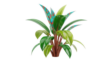 Fototapeta premium Tropical plant with colorful leaves isolated on transparent background