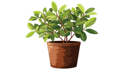 Obraz premium Illustration of Vibrant Plant with Green Leaves in Stylish Brown Pot