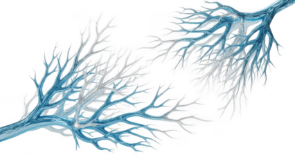 Dendritic structure isolated on transparent background