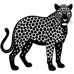 A black and white vector illustration of a wild leopard predator isolated on a white background for nature and safari wildlife art
