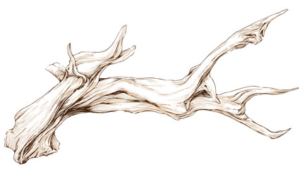 Elegant Minimalist Driftwood Design Vector Illustration