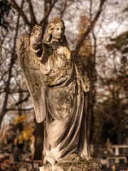 Fototapeta premium Weathered Angel Statue Guards a Quiet Graveyard Under Ancient Autumn Light