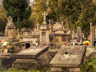 Old Cemetery With Weathered Gravestones and Crosses Amid Trees at Dusk
