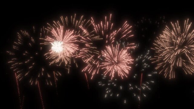 Soft orange fireworks explode on transparent background. For birthday firework, new year's eve firework, party firework, festival, anniversary firework, diwali firework, independence day firework