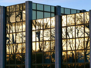 Obraz premium Facade of a vacant office building with a striking glass and metal structure; the yellowish glass panels are enhanced in color by the morning sunbeams.