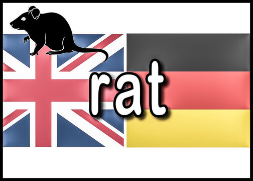 r&auml;tsel rat