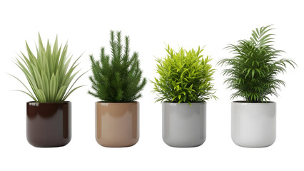 Four plants isolated on transparent background in different pots