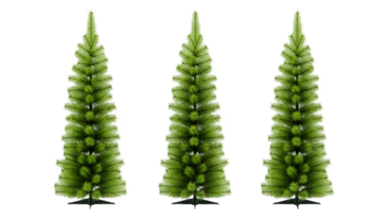 Three green coniferous trees isolated on transparent background