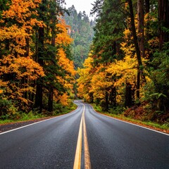 Autumn road through a vibrant forest.  Yellow and orange leaves line a winding, wet roadway.  Tall trees frame the scene.  Misty light filters through the canopy