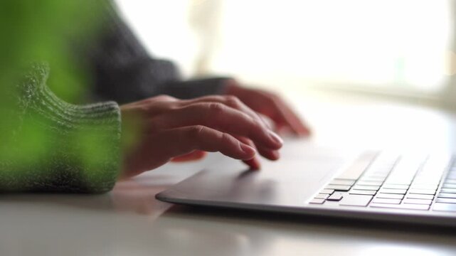 Person typing on a laptop with a blurred plant in the foreground. Concept remote work, job at home, house or office. Gorl shopping in internet