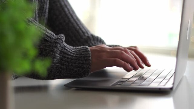 Person typing on a laptop with a blurred plant in the foreground. Concept remote work, job at home, house or office. Gorl shopping in internet
