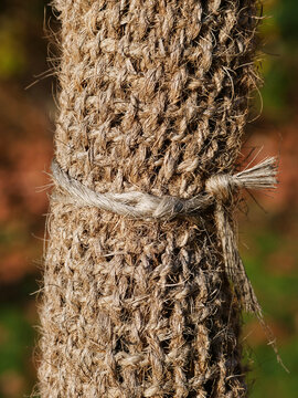 Coconut fiber as tree protection Trunk protection