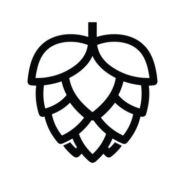 Black line art hop cone icon on white background plant ingredient