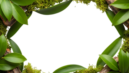 green leaf border on a white background