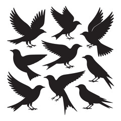 Obraz premium Birds silhouette (1).eps