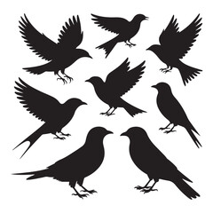 Fototapeta premium Birds silhouette (3).eps