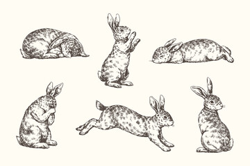 Collection of Rabbit and Hare Vector Illustrations: Set of Cute Animals in Various Poses, Perfect for Easter and Nature-Themed Engraving Style Clipart.