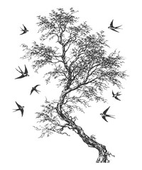 Beautiful Swallows Flying Around a Willow Tree Vector: Elegant Nature and Spring Themed Hand-Drawn Engraving Style Botanical Illustration Clipart.