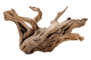 Single Driftwood Branch For Decorative Use On Transparent Background