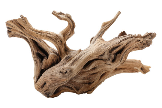 Single Driftwood Branch For Decorative Use On Transparent Background
