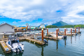 Obraz premium Fishing boats docking at tofino harbor on vancouver island, canada