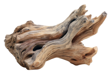 Driftwood Piece Isolated On Transparent Background