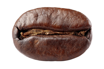 Coffee bean shown for culinary or aroma themed design on transparent background