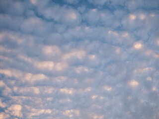 Altocumulus Stratiformis Clouds: Beautiful Blue Sky and White Fluffy Clouds Pattern with Sun Rays Background