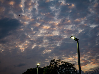 Dramatic Sunset Sky with Altocumulus Clouds in Purple, Orange, and Blue Colors, Featuring a Street Light and Birds