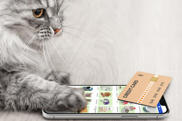 Cat using smartphone with credit card on table while looking at screen with various items displayed
