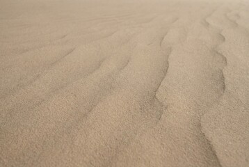 Minimal sand texture background for natural design, branding and earthy layouts