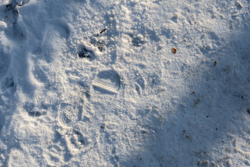 Top view photo of snow on the sidewalk in the sunny winter morning. Winter dirty snow background texture with multiple shoe prints on cold day. Shadows from the trees.