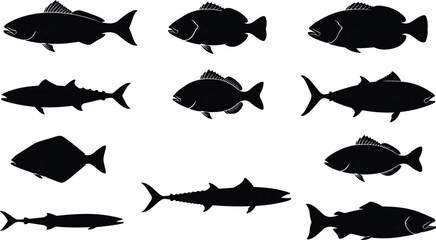 Marine fish silhouette collection showing ocean species profiles, black aquatic wildlife shapes for fishing, seafood, logo, vector design use projects