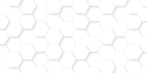 Fototapeta premium Abstract white grid presentation surface mosaic and tiles minimal tech bee website science element grid overlay white hexagon futuristic technology geometric texture background.